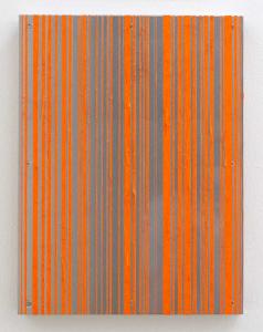 untitled (Orange Segments)   